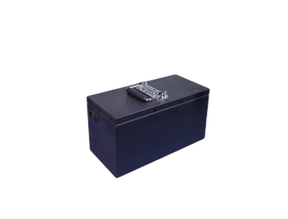 48V 20Ah 紧凑型核种子 PACK